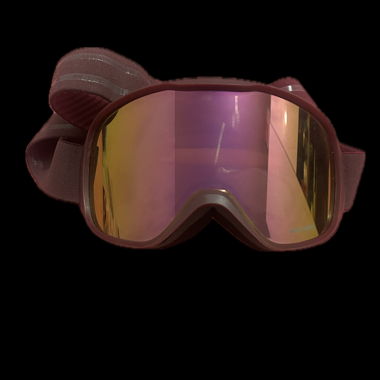 Lunettes de ski 