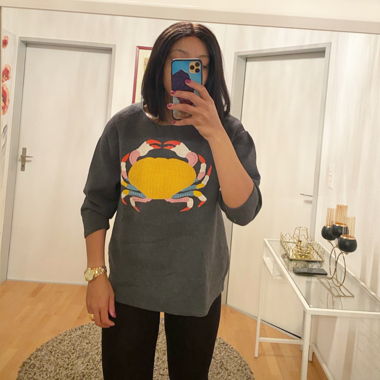 Sweat gris motif crabe coloré