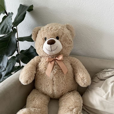 Teddy
