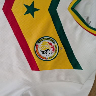 Puma Senegal jersey