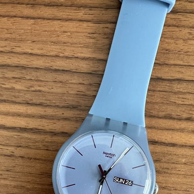 Swatch Original 41 Sea Rebel Day Date