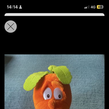 Peluche Carotte