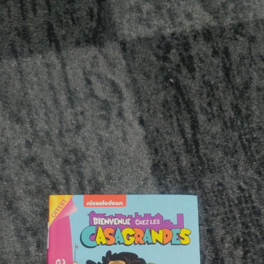 Livre Casagrandes 