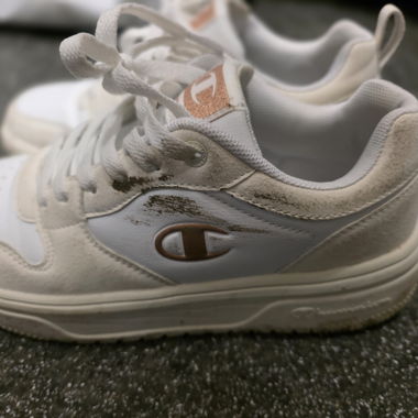 Champion sneaker