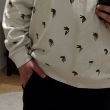 Felpa Lacoste x JM