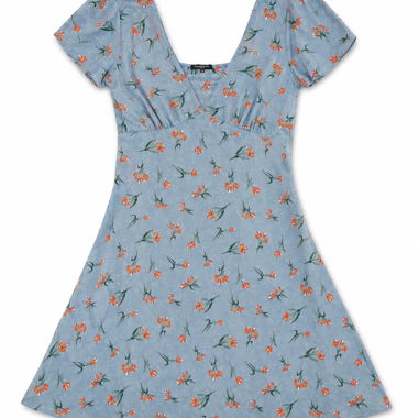 Blue Zara Floral Dress