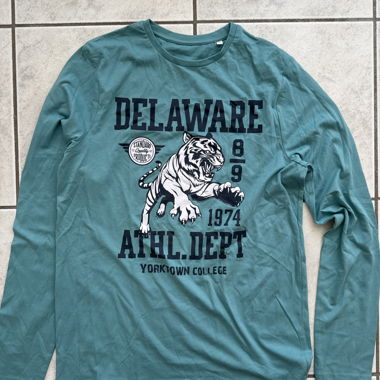 Green long-sleeve tiger print T-shirt C&A