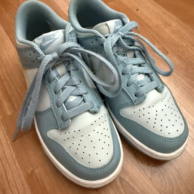 Nike Dunks