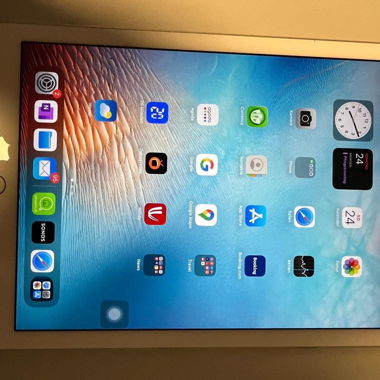 iPad Pro 32. GB - version 16.7.12 - 9.7 inch