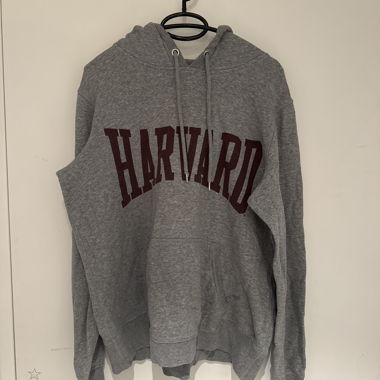 Sweat à capuche Harvard gris