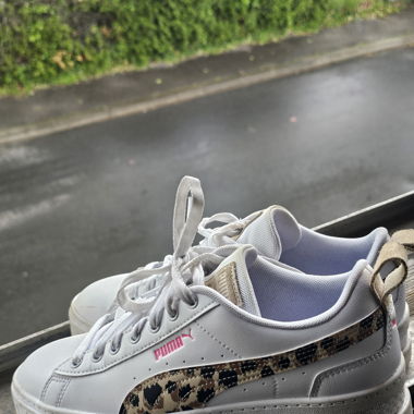 Basket puma 