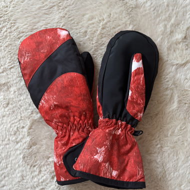 IGLU Ski Mittens