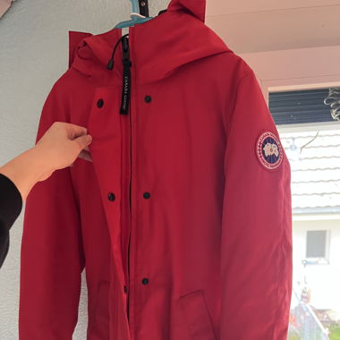 Canada goose Mantel