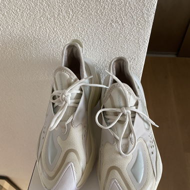 Converse white sneakers 