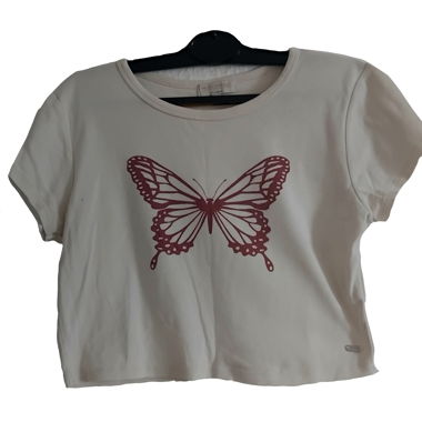 Butterfly Crop Top