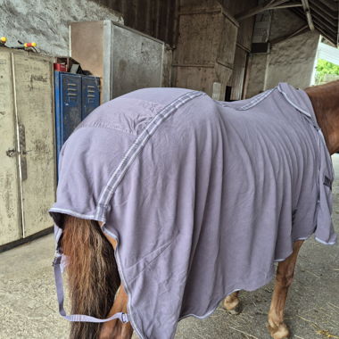 Horse blanket / sweat blanket
