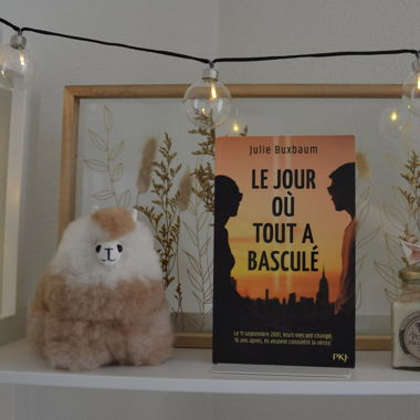 Le jour où tout à basculé - Julie Buxbaum