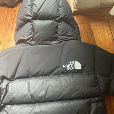 The north face jacket 