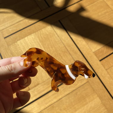 Coucou Suzette tortoiseshell dachshund hair claw