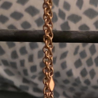 Fossil necklace