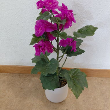 Plante artificielle avec fleurs roses