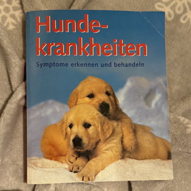 Livre : Reconnaître et traiter les maladies du chien