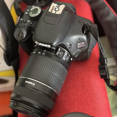 Canon EOS 600D mit Canon EFS 55-250mm Objektiv