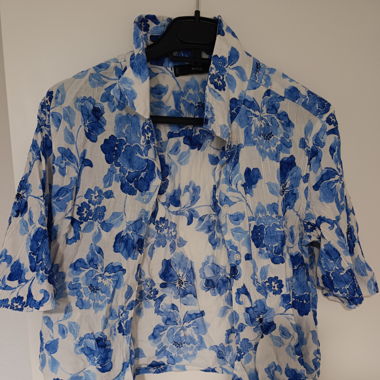 Blue blouse