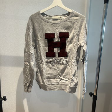 Felpa Harvard Grigia XS