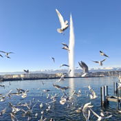 LuluGeneva8