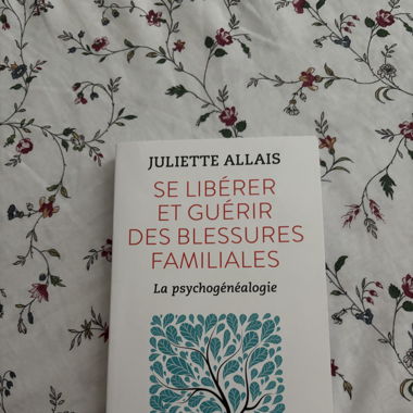 Buch Sich Befreien und Familiäre Wunden Heilen