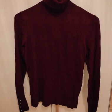 Pull col roulé