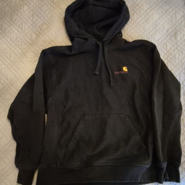 Felpa Carhartt American Script