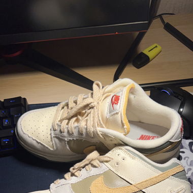 Nike dunk low 