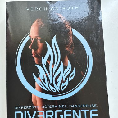 Divergente 1 - Veronica Roth 
