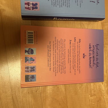 Princess Undercover Books