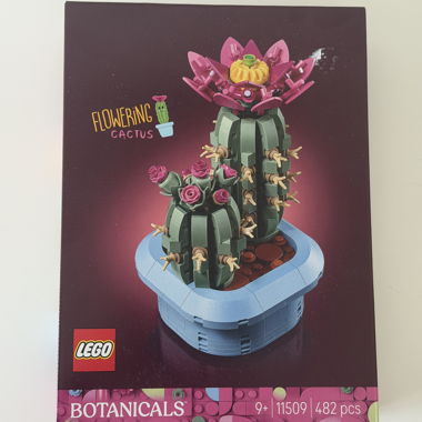 LEGO Botanicals Flowering Cactus