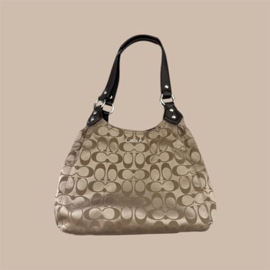Coach Hobo Handbag