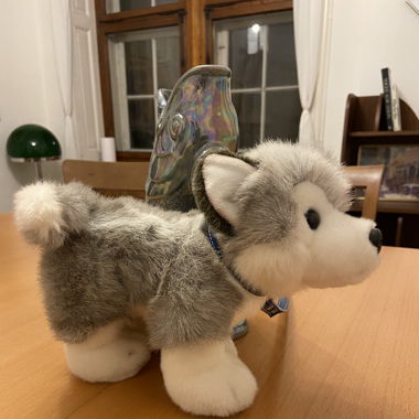 Huskey / Hund Plüschtier 