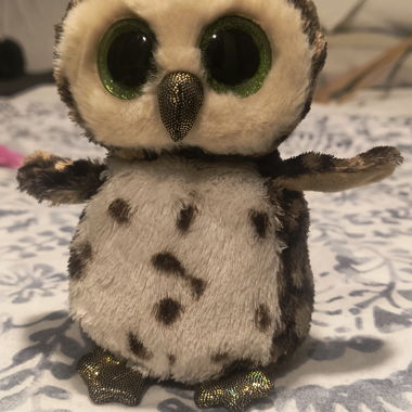 Ty Beanie Boo Owl sammy