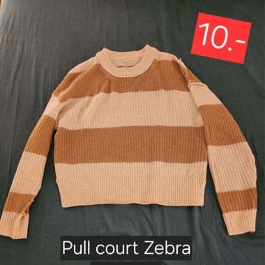 Pull court Zebra
