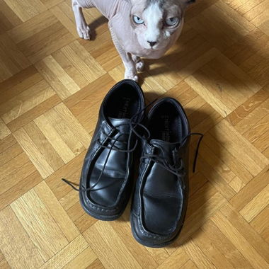 cute shoes