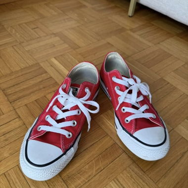 Converses 36.5