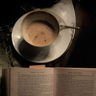 Bookslover