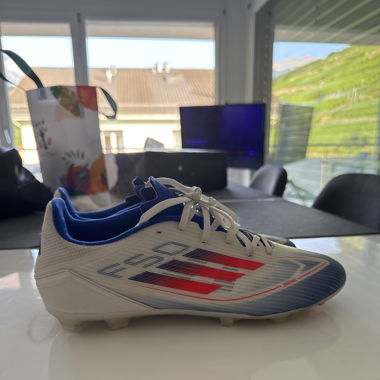 Crampons f50