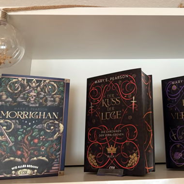 Chroniken der Verbliebenen Band 1-4