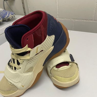 Nike Jordan zion 2 pelikane