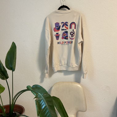 Pulli Kaotiko