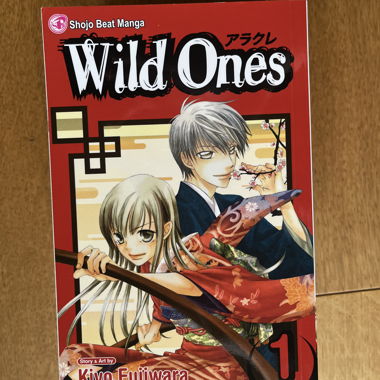 Wild Ones Manga Volume 1-5