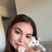 mimisy